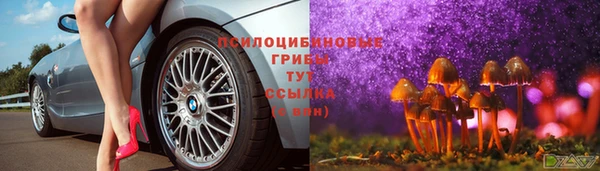 стаф Карпинск