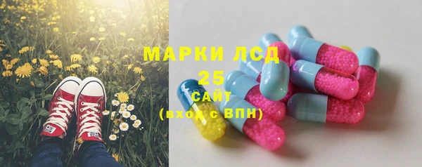 соль ск Алзамай
