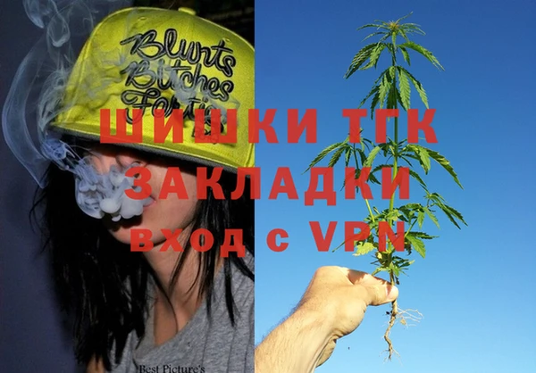 бошки Алексин