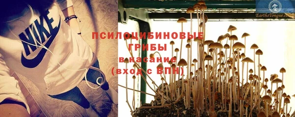 бошки Алексин