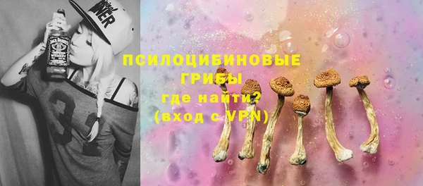 соль ск Алзамай