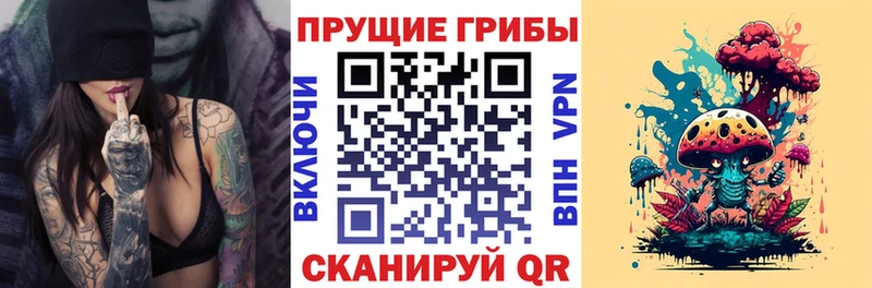 Галлюциногенные грибы Psilocybe  shop клад  Полысаево  магазин   